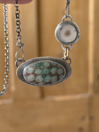 Fossilised Coral Necklace