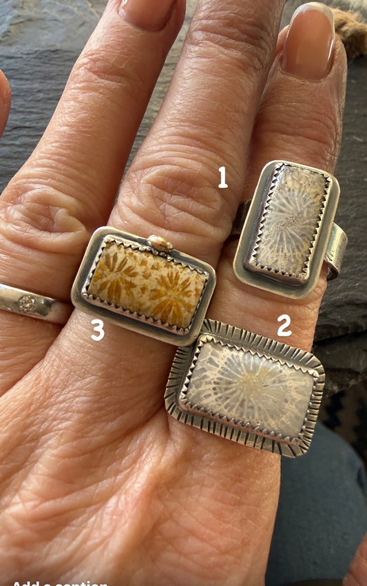 Fossilised Coral Ring (choose)