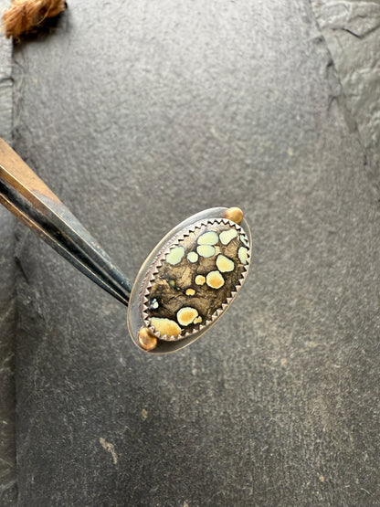 Desert Bloom Turquoise Ring 7 1/4