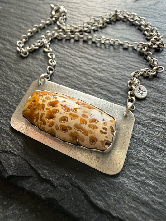 Fossilised Palm Root Pendant