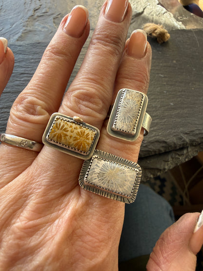Fossilised Coral Ring (choose)
