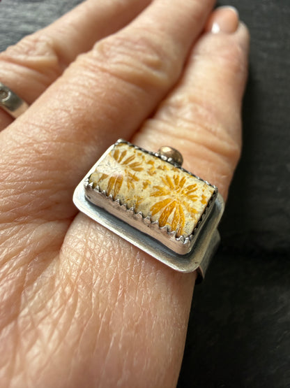 Fossilised Coral Ring (choose)