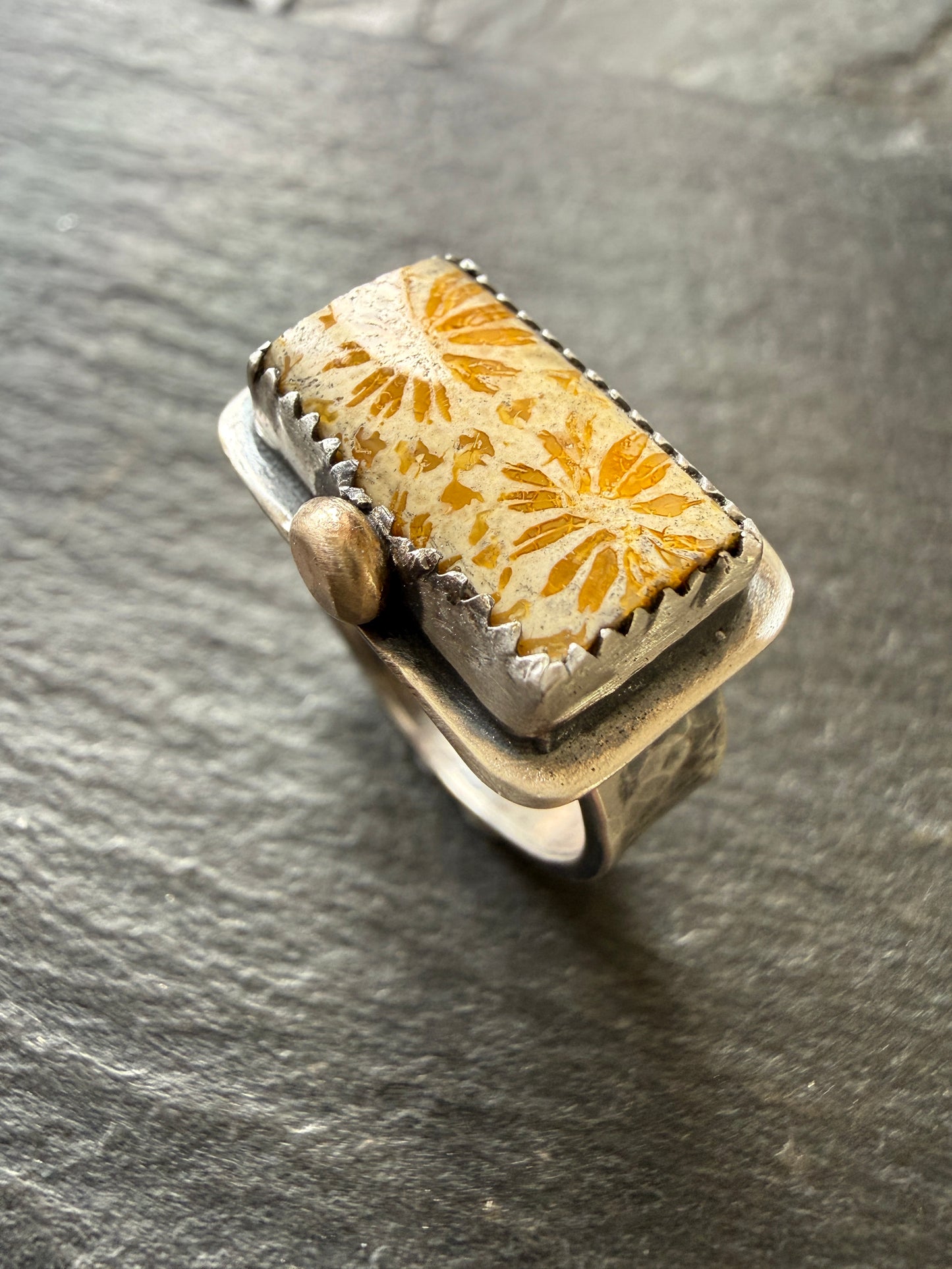 Fossilised Coral Ring (choose)