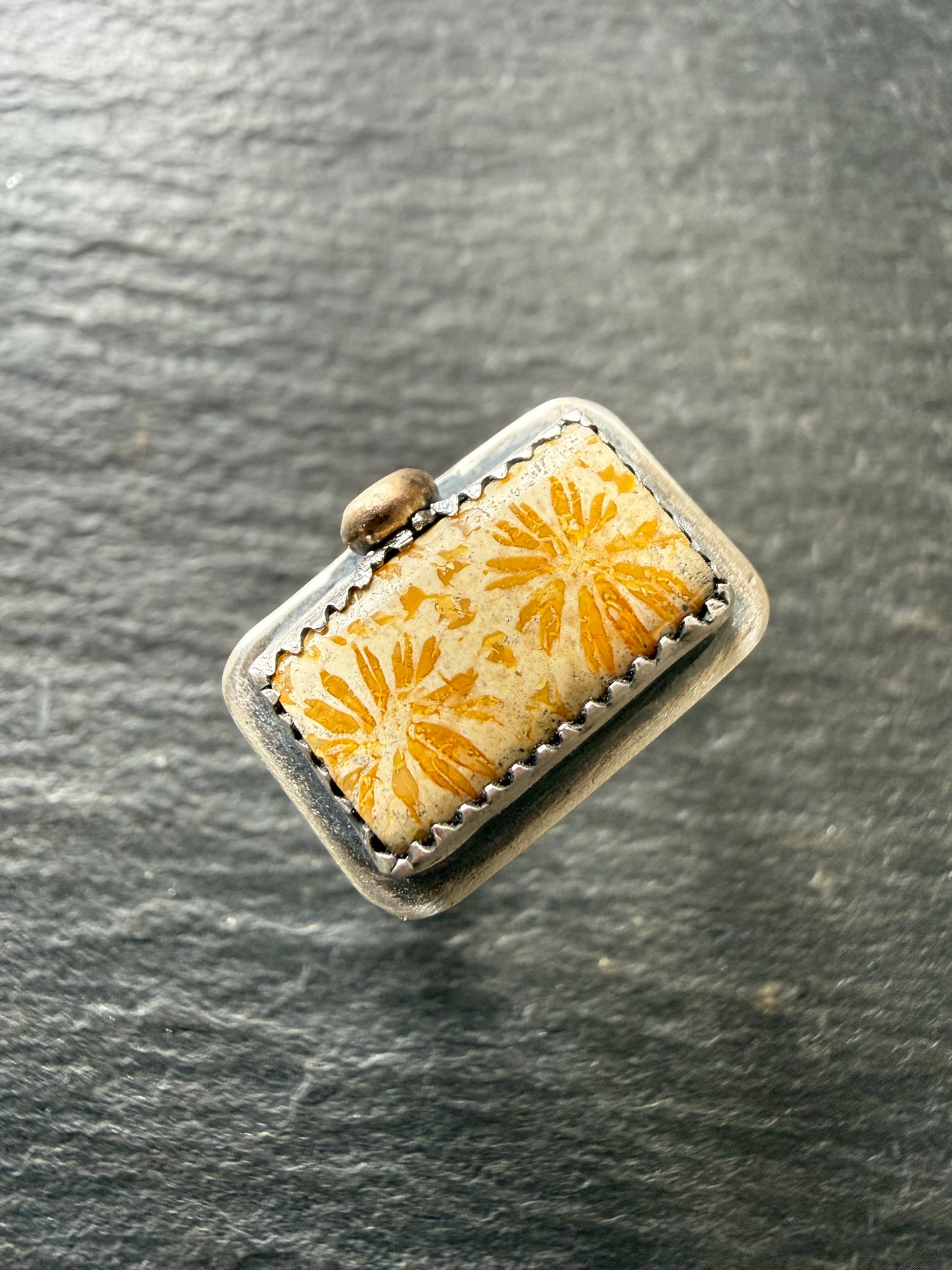 Fossilised Coral Ring (choose)