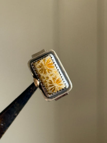 Fossilised Coral Ring (choose)
