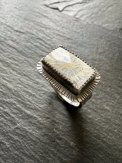 Fossilised Coral Ring (choose)