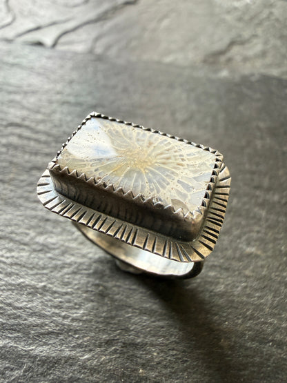 Fossilised Coral Ring (choose)