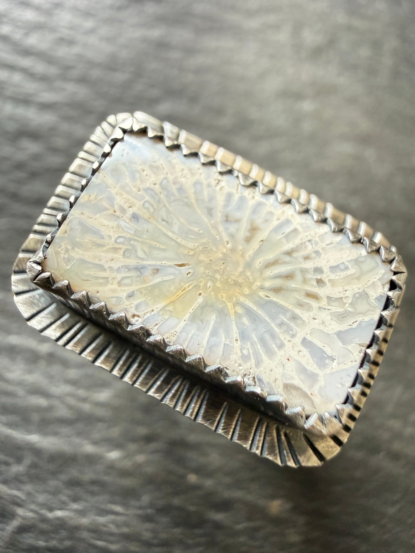 Fossilised Coral Ring (choose)
