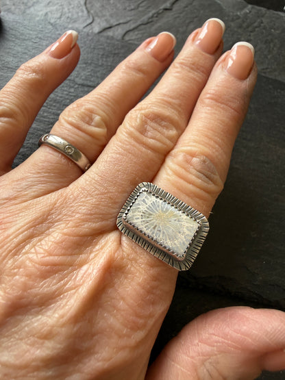 Fossilised Coral Ring (choose)