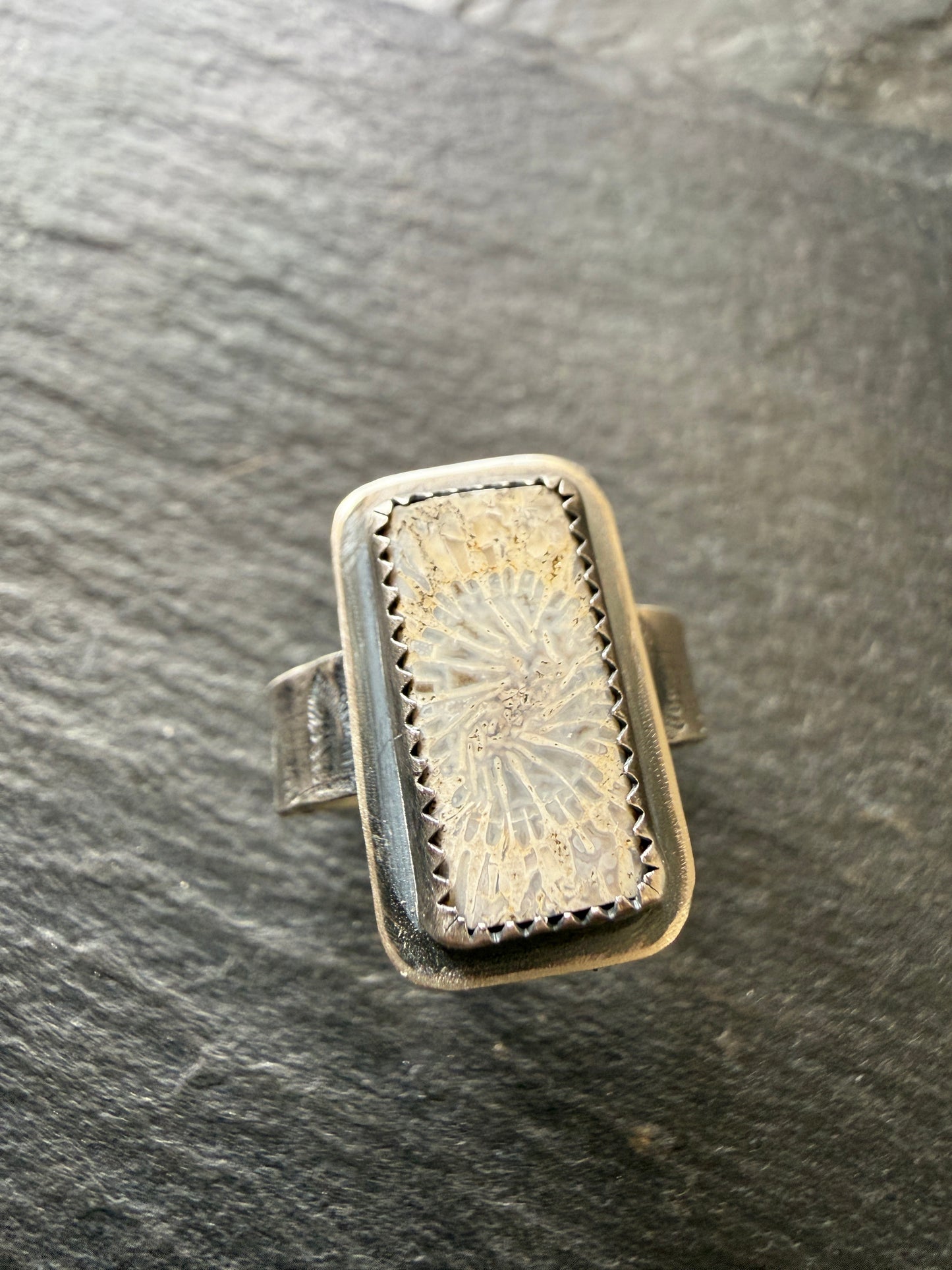 Fossilised Coral Ring (choose)