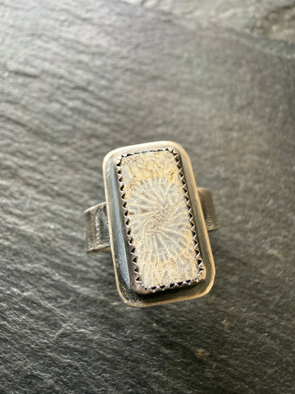 Fossilised Coral Ring (choose)