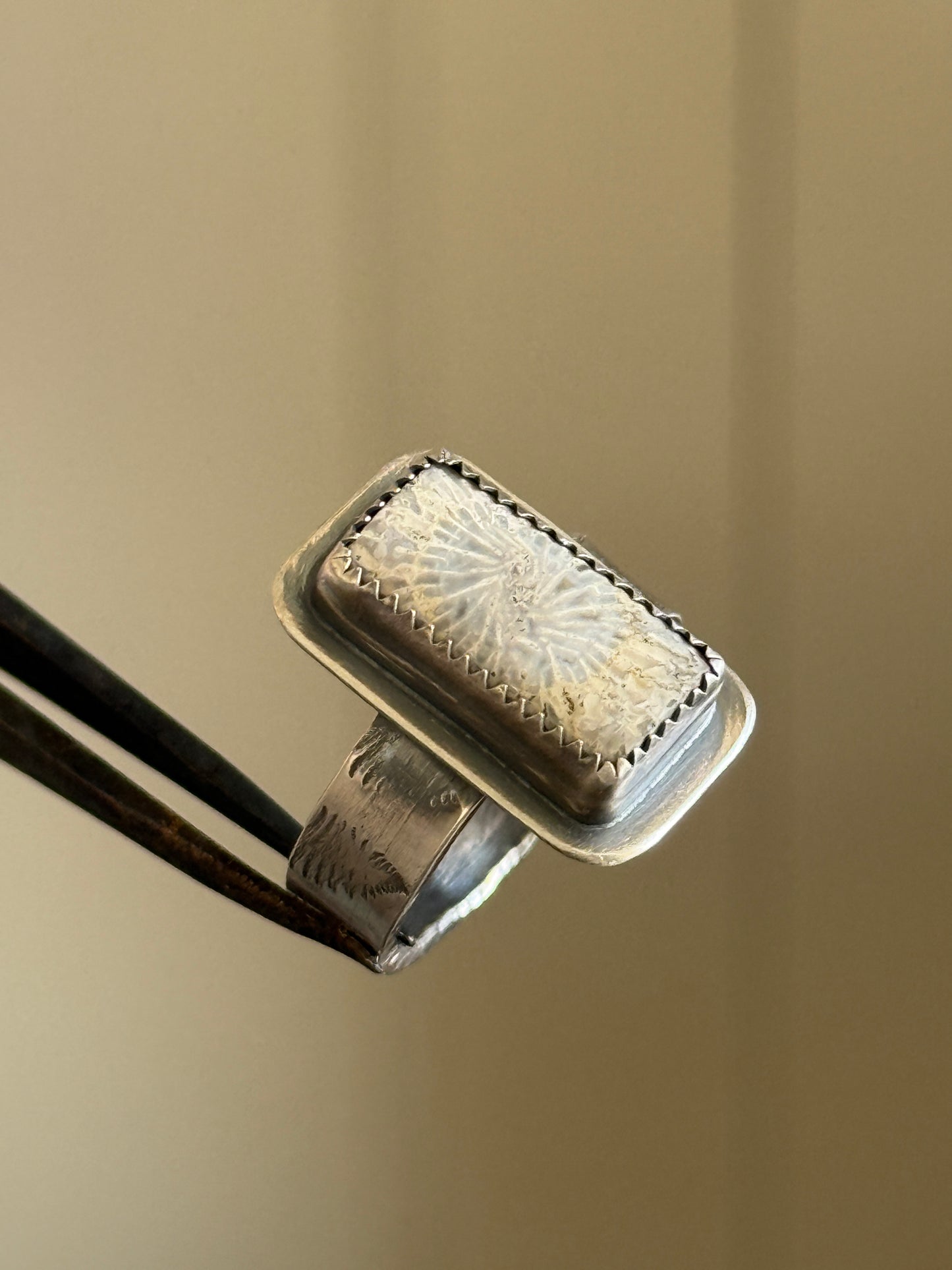 Fossilised Coral Ring (choose)
