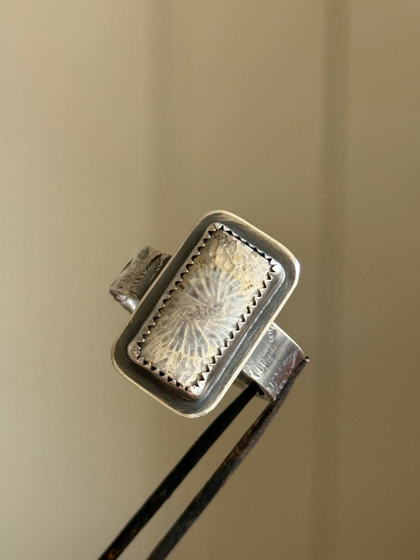 Fossilised Coral Ring (choose)