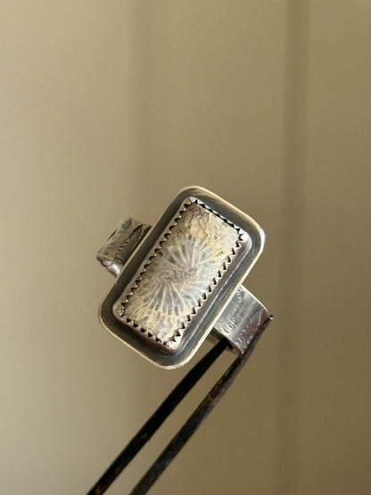 Fossilised Coral Ring (choose)