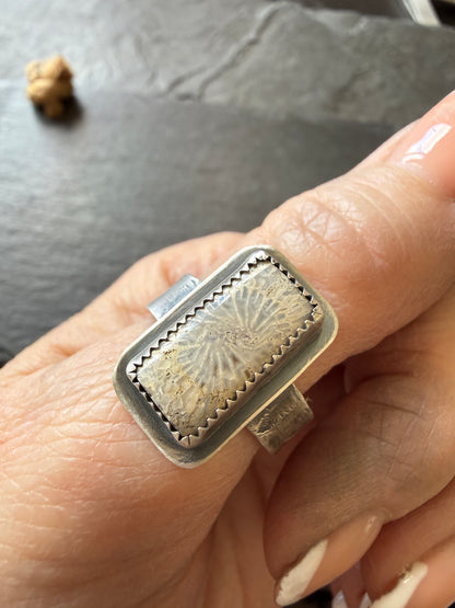 Fossilised Coral Ring (choose)