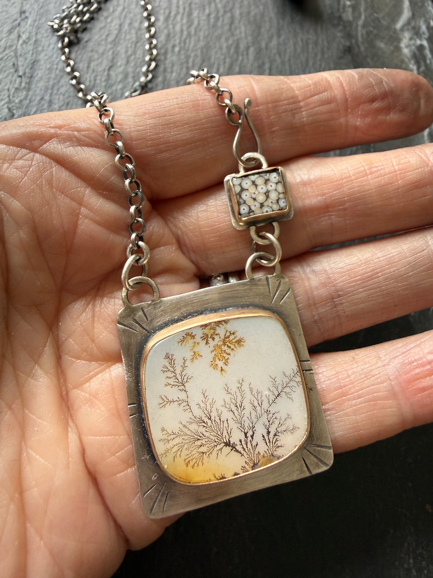 Scenic Dentric Agate with a Wrasse Snakeskin Stone