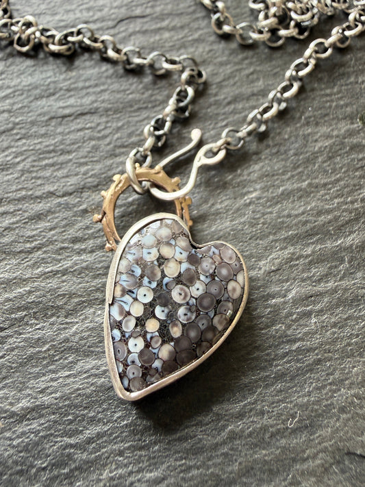 Fossilised Heart Wrasse Snakeskin