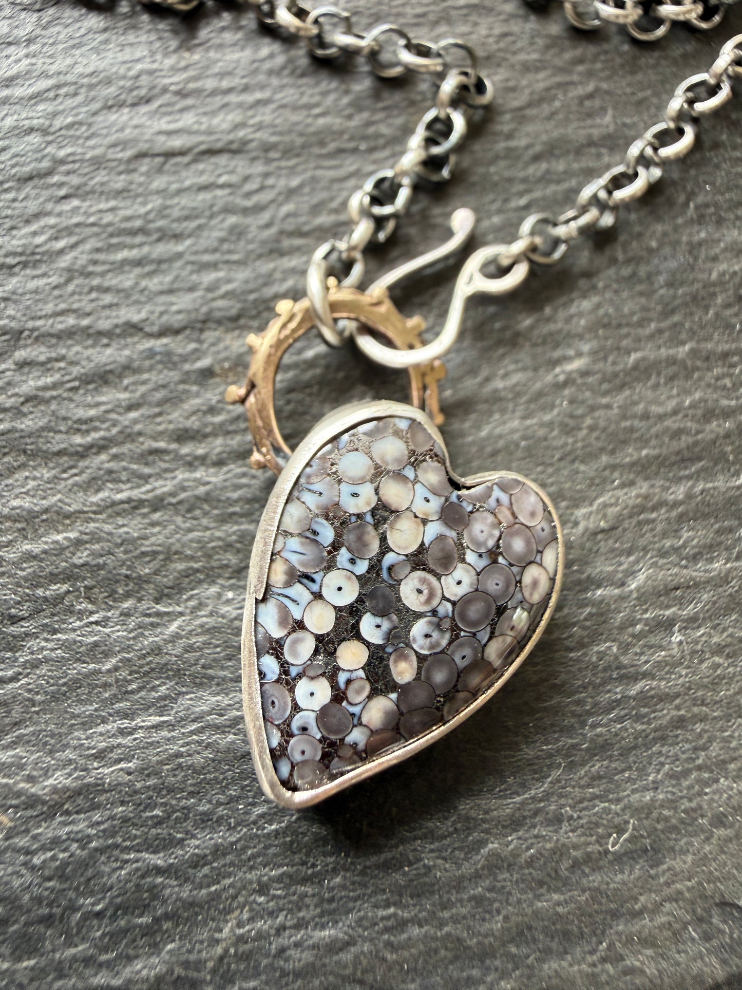 Fossilised Heart Wrasse Snakeskin