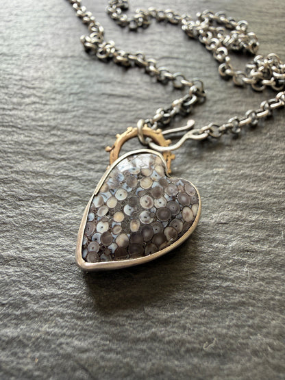 Fossilised Heart Wrasse Snakeskin