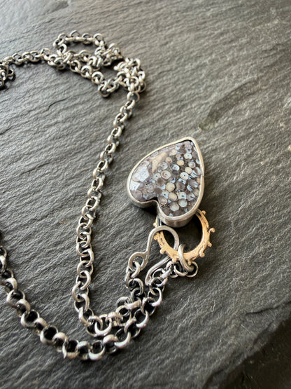 Fossilised Heart Wrasse Snakeskin