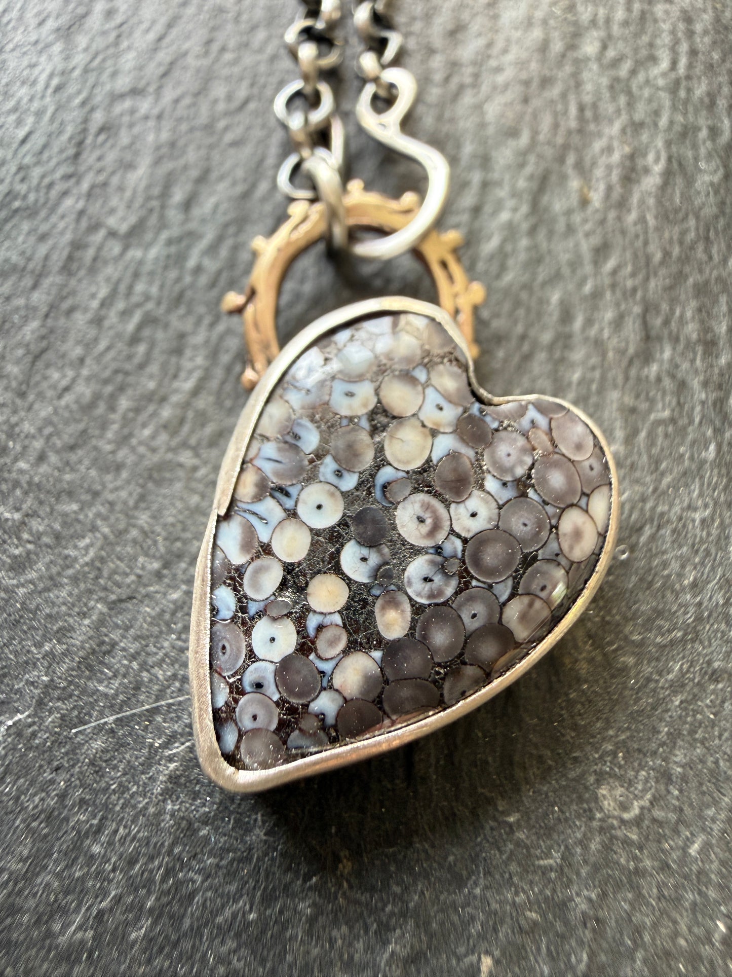 Fossilised Heart Wrasse Snakeskin