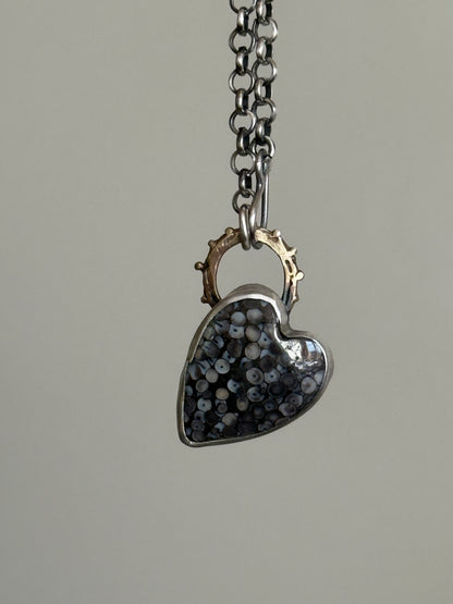 Fossilised Heart Wrasse Snakeskin