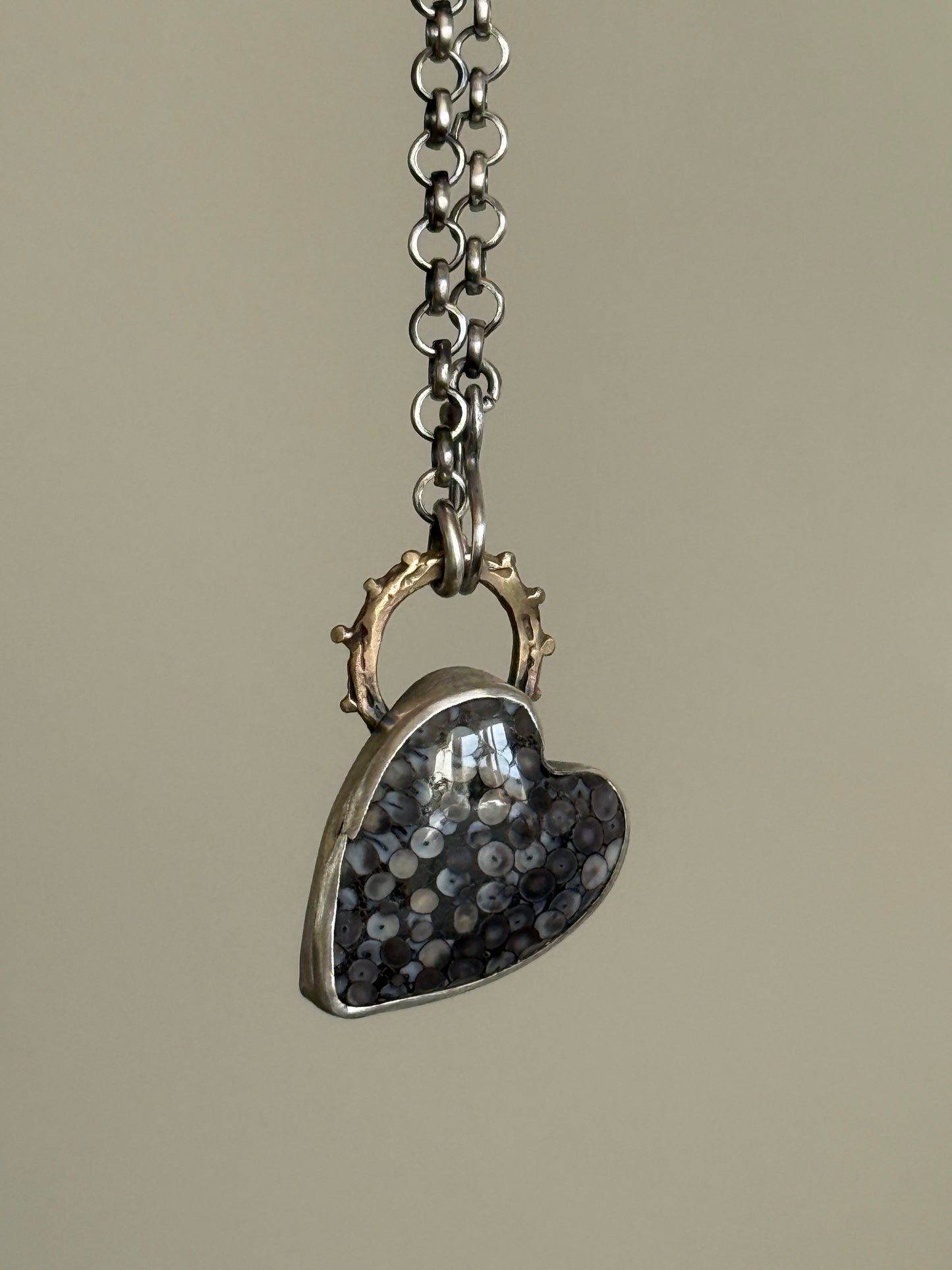 Fossilised Heart Wrasse Snakeskin
