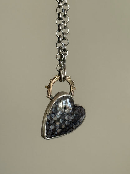 Fossilised Heart Wrasse Snakeskin