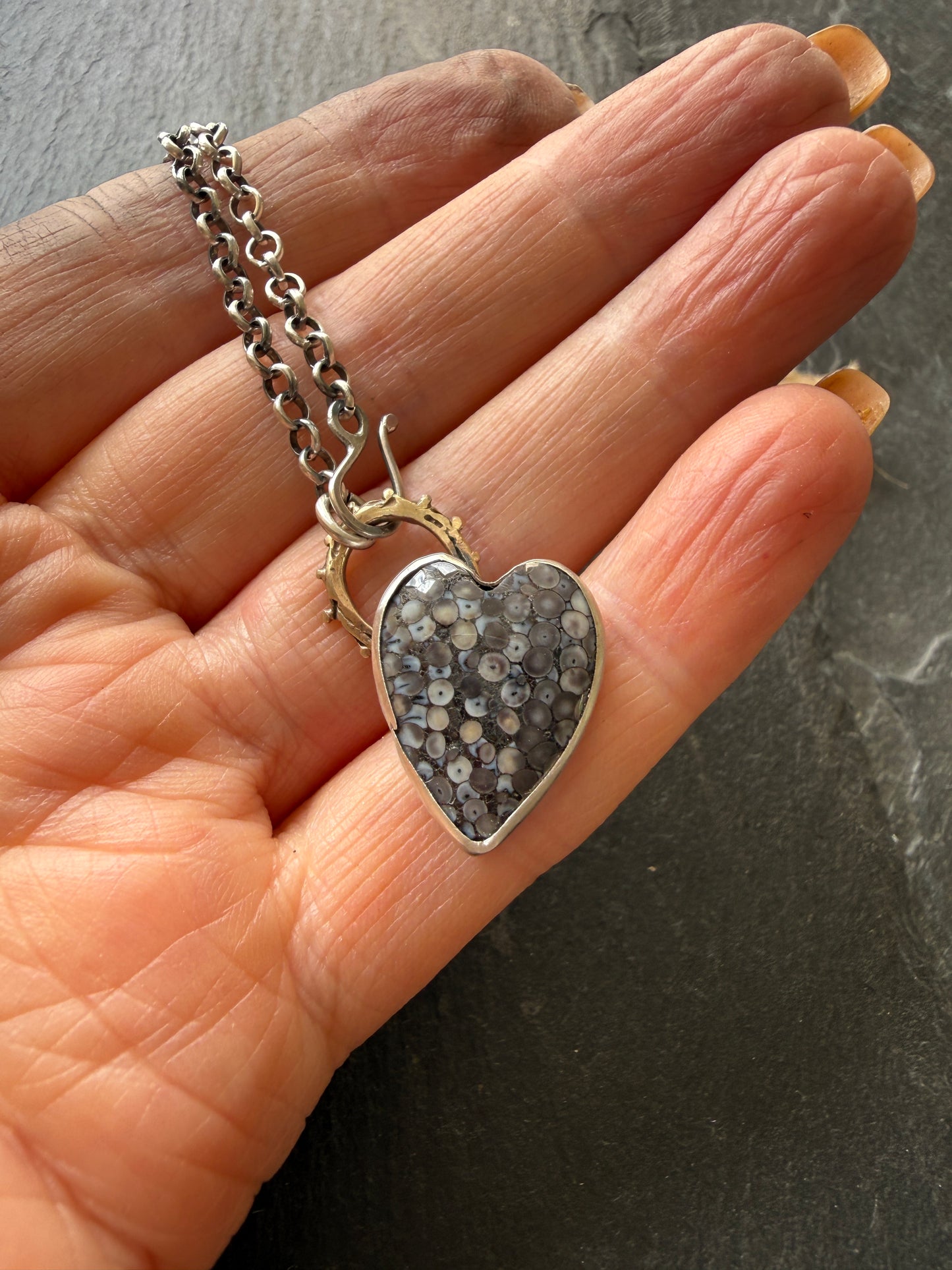 Fossilised Heart Wrasse Snakeskin