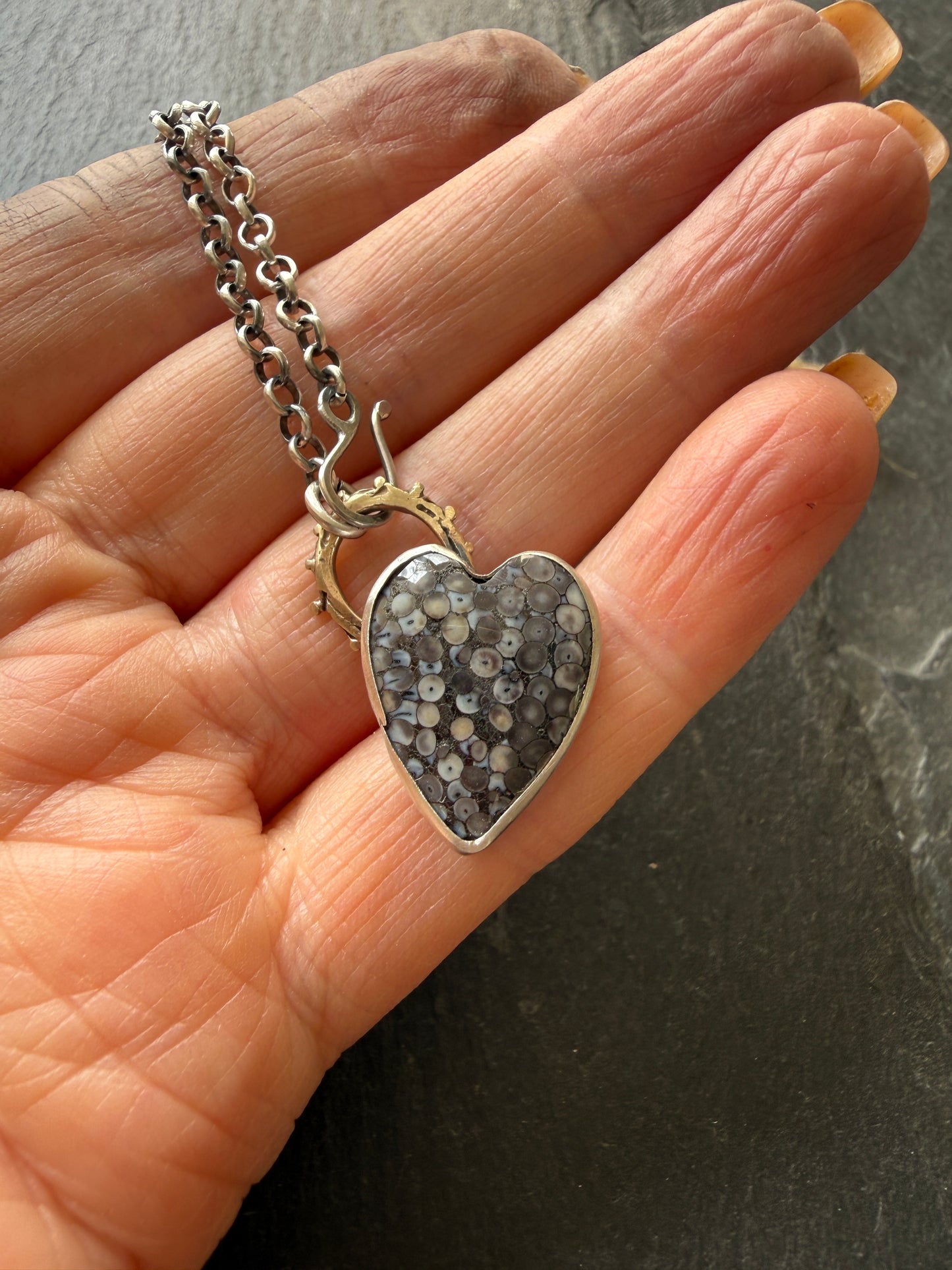 Fossilised Heart Wrasse Snakeskin